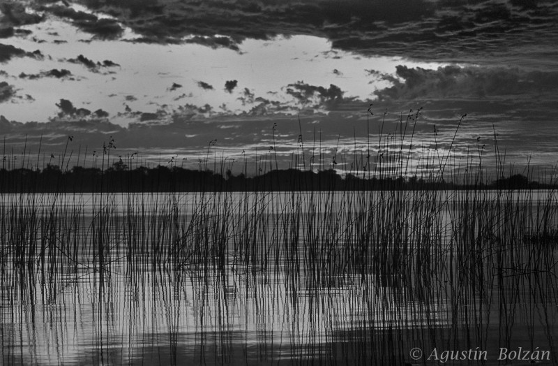 esteros_ibera_0137.jpg