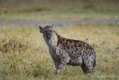 Ol-Pejeta-3066.jpg Ol-Pejeta-3066.jpg