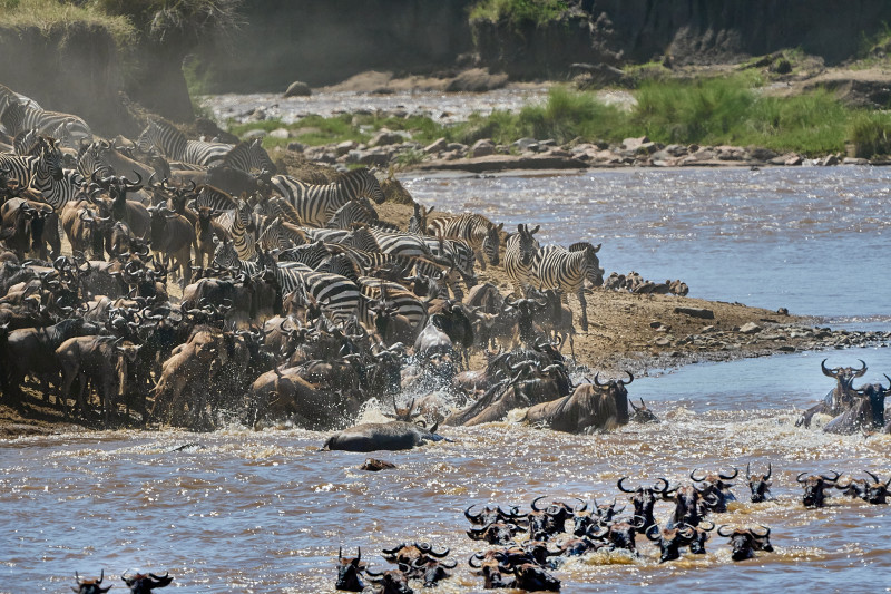 Kogatende: Escenario de la Gran Migración 
